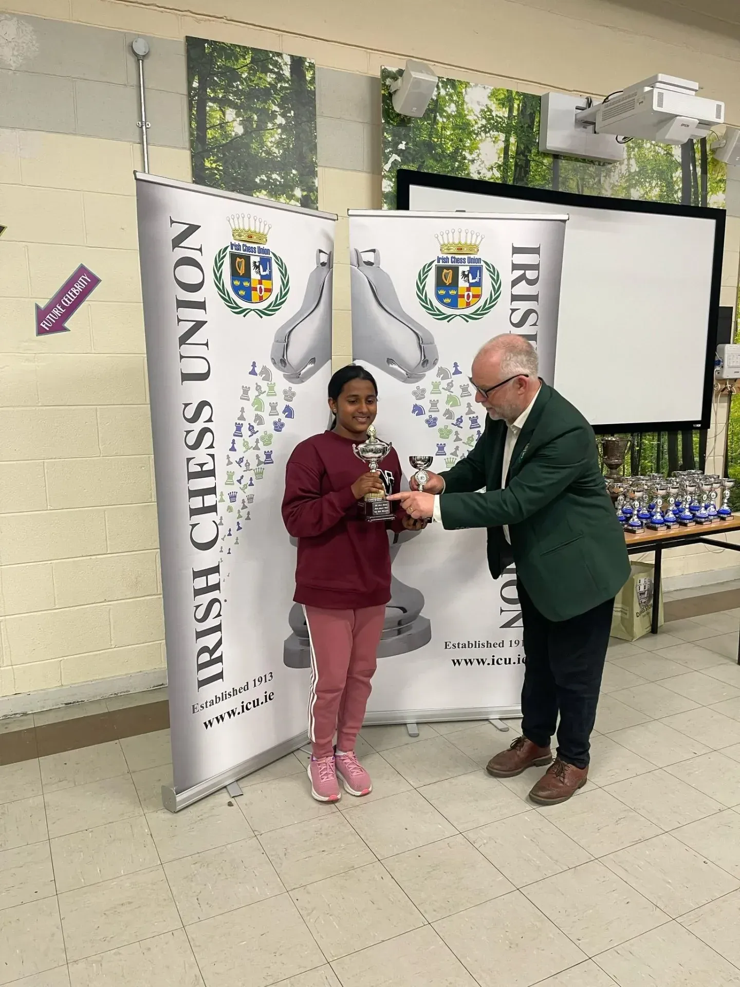 Irish Junior Chess Championships 2025