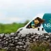 National Broadband Ireland - NBI