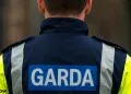 garda investigation