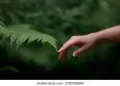 Study Finds Human Connection with Nature Has Declined by 60% in Two Centuries