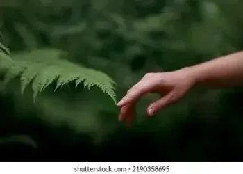 Study Finds Human Connection with Nature Has Declined by 60% in Two Centuries