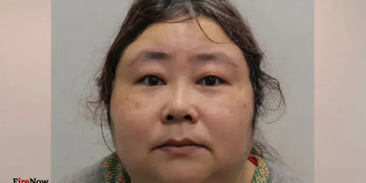 chinese women cryoto