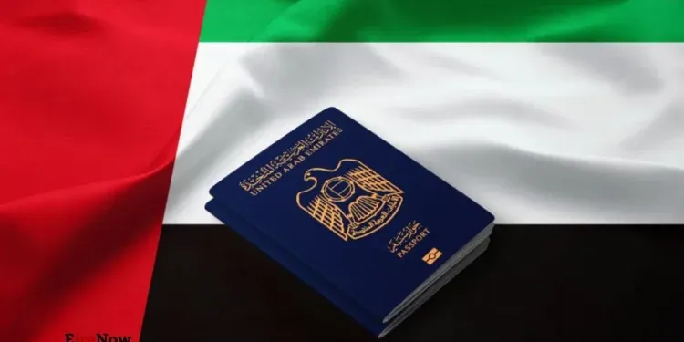 dubai visa (2)