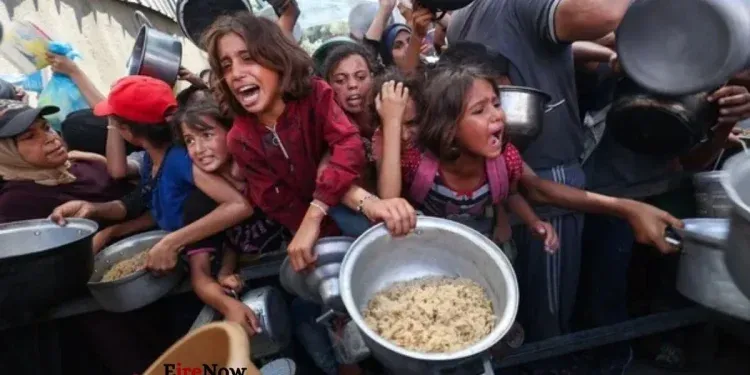 israel and gaza more attack
