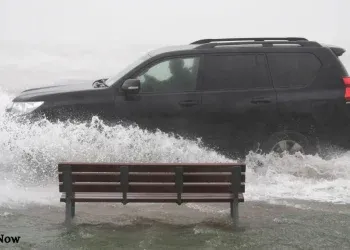 amy storm ireland1