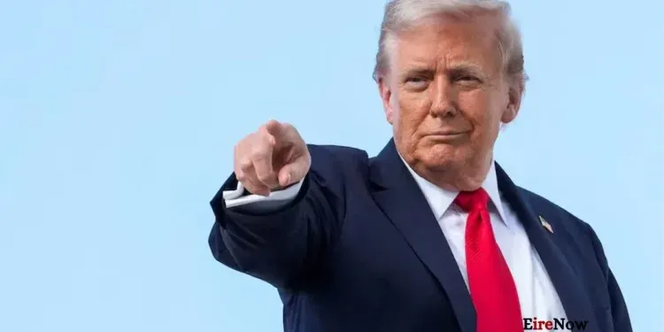 china tariff trump (2)