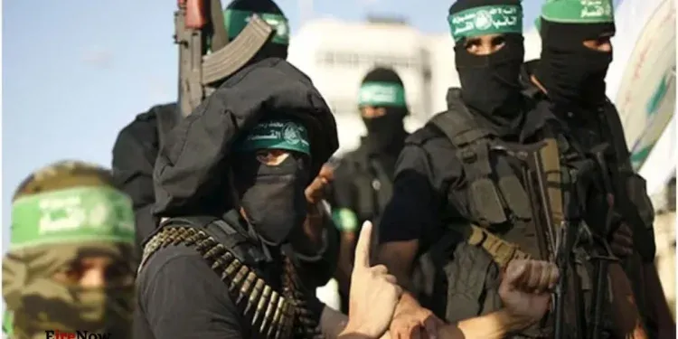 hamas (2)