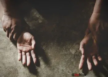 indian orgin uk rape (2)