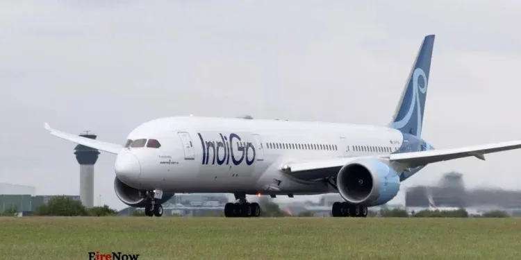 indigo flight windshield