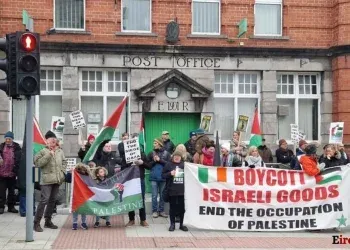 ireland palestine