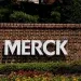 merck 1