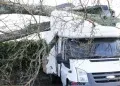 storm eowyn damage in sligo
