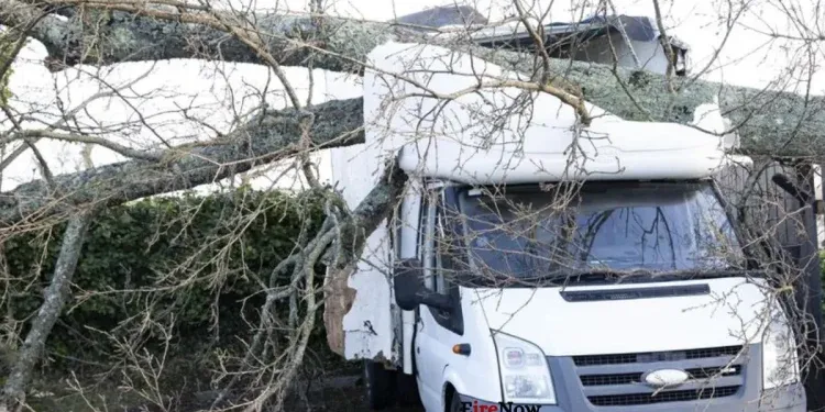 storm eowyn damage in sligo