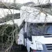 storm eowyn damage in sligo