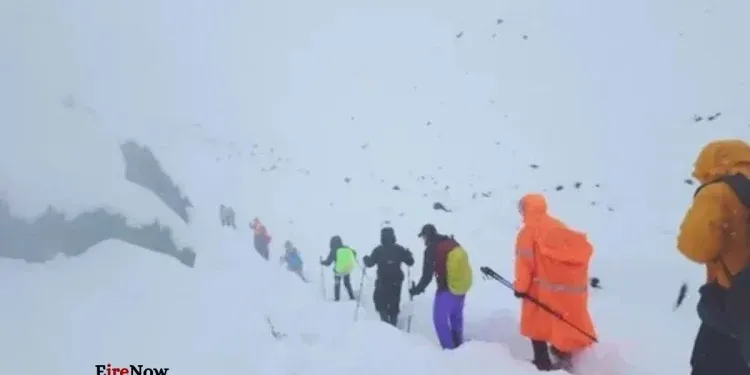 tibet hikers
