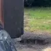 toilet destoried in dublin park
