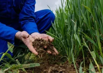 european commission recommends nitrates derogation extension for ireland