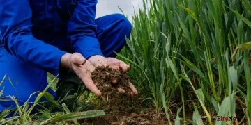 european commission recommends nitrates derogation extension for ireland