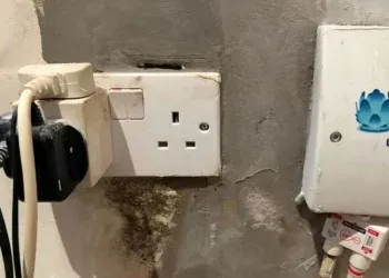 dublin social housing tenants face mushrooms, mould, slugs and electric hazard from water leak