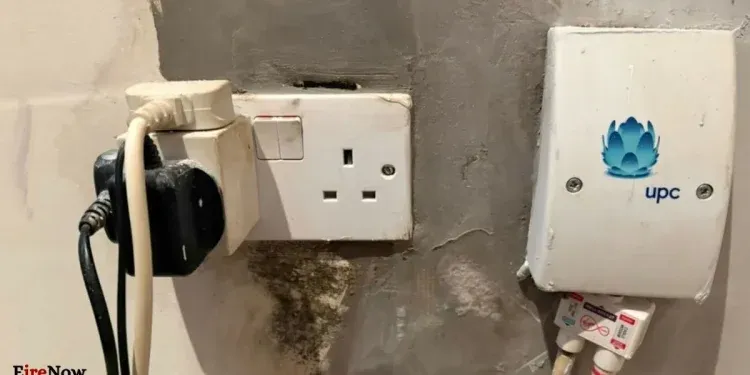 dublin social housing tenants face mushrooms, mould, slugs and electric hazard from water leak