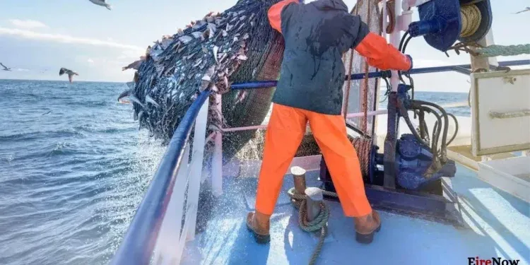 eu fishing quota deal 'catastrophic' for ireland