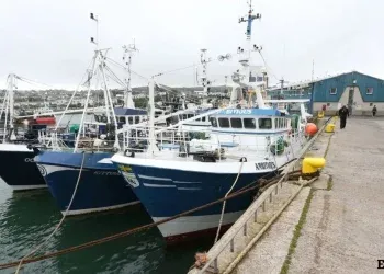 eu quota deal 'catastrophic' cuts threaten 2,300 irish jobs; government pledges support