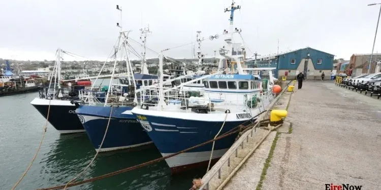 eu quota deal 'catastrophic' cuts threaten 2,300 irish jobs; government pledges support