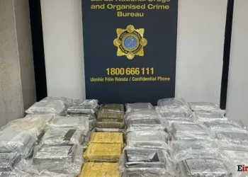 four arrested after €7.2 million cocaine seizure in wexford and dublin