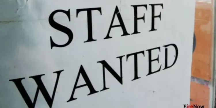 ireland's labour market cools job vacancies fall as job hugging takes hold