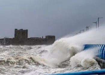 storm bram aftermath 8,000 customers still without power as repair efforts intensify