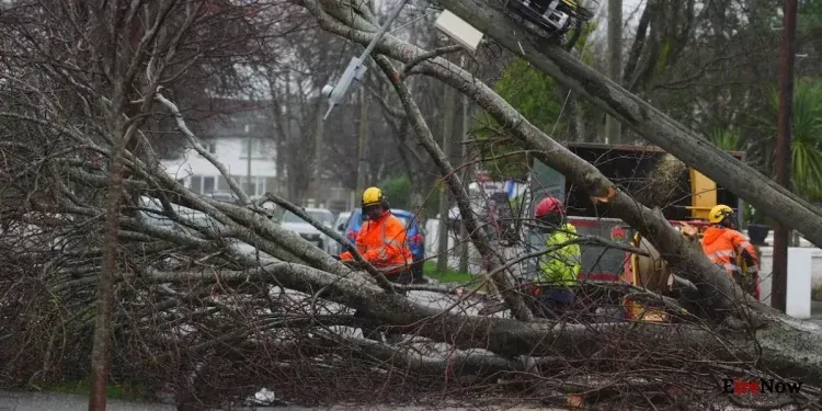 ‘extremely disappointing’ plans to protect ireland against extreme weather criticised