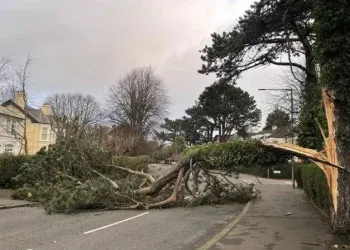 Ireland to Send Emergency Survival Guides to Every Home