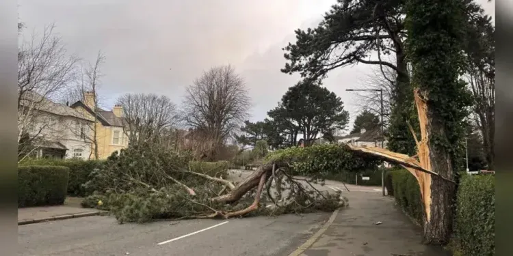 Ireland to Send Emergency Survival Guides to Every Home