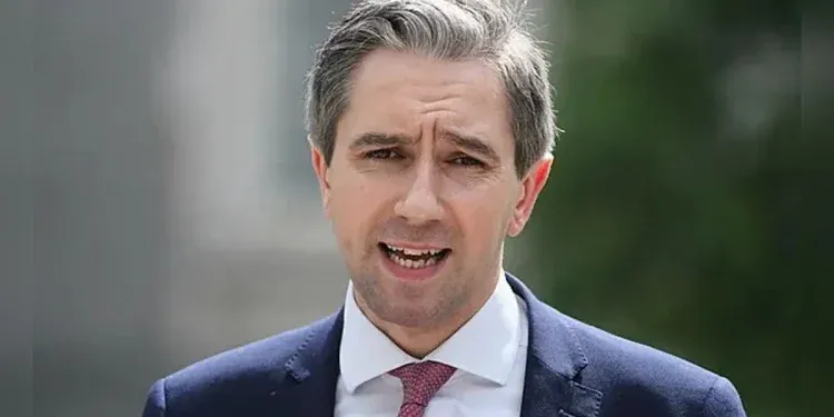 Simon Harris Says We Must Wait to Spend