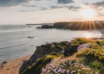 Met Éireann Forecasts 21°C Peak in Sunny Weekend Outlook