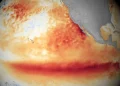 UN Warns of Arriving 