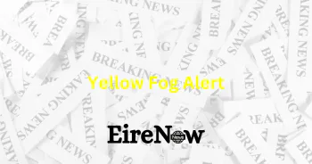 yellow fog alert