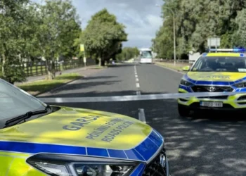 Garda Road Block