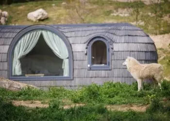 Wolves lurking outside a hut at Thoiry Zoo