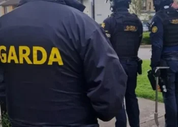 63 Arrested in Major International Operation by Gardaí and Interpol