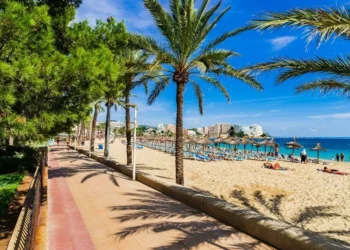 A beach in Majorca (stock image) (Image: Getty Images/iStockphoto)