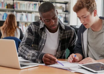 Dual Landscape of Irish Higher Education