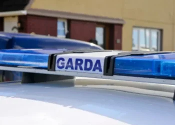 Major Cannabis Seizure in Cavan: Over €330K Worth of Drugs Confiscated