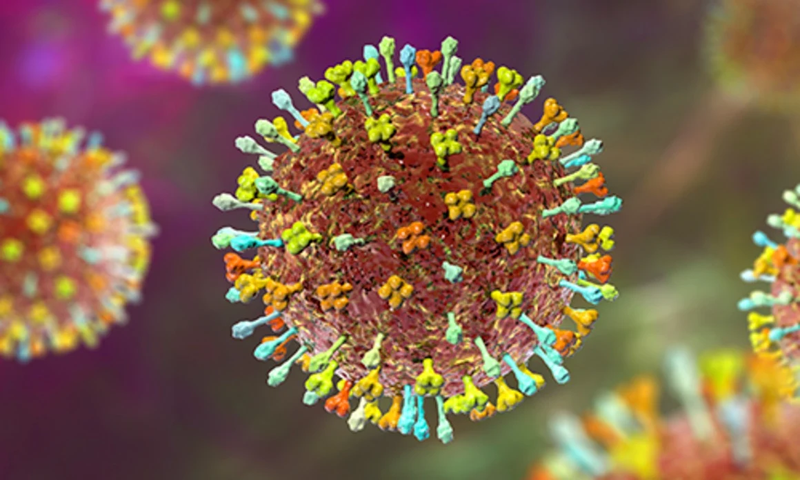 Nipah Virus