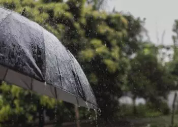 Status Yellow Rain Warning Dublin, Louth, Meath, and Wicklow