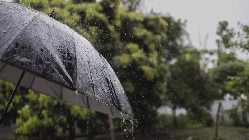 Status Yellow Rain Warning Dublin, Louth, Meath, and Wicklow