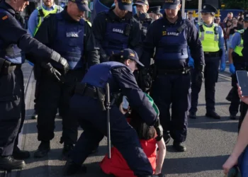 Gardaí remove a protester from O'Connell Bridge, during an anti-immigration protest.