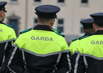 Primary School in Dublin Closes Due to Security Alert