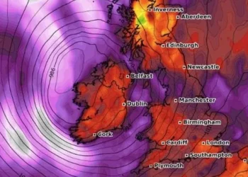 Storm Darragh Brings Status Red Wind Warnings to Ireland