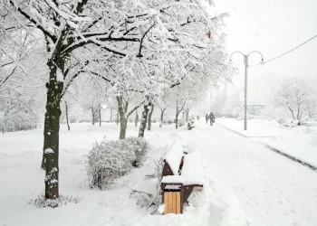 a bench covered in snow next to a tree